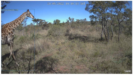 Sensors 24 08122 g0a4