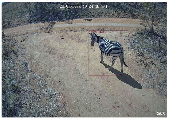 Sensors 24 08122 g0a5