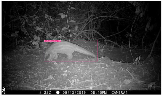 Sensors 24 08122 g0a8