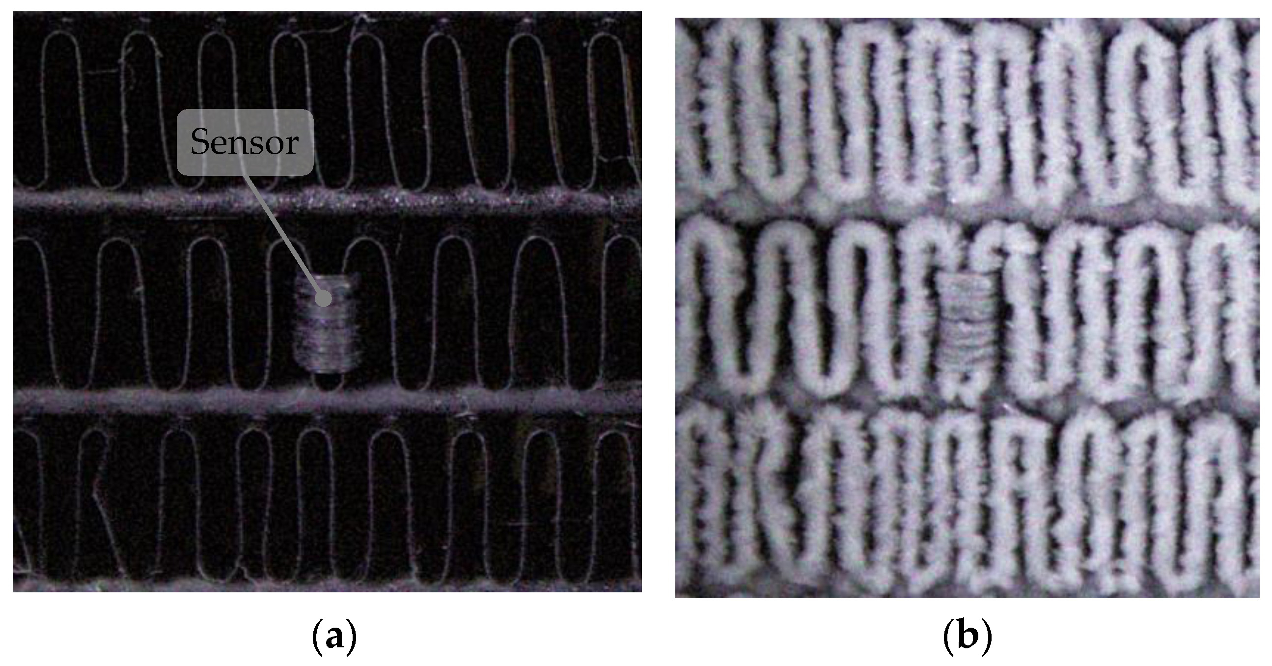 Sensors 24 08193 g010