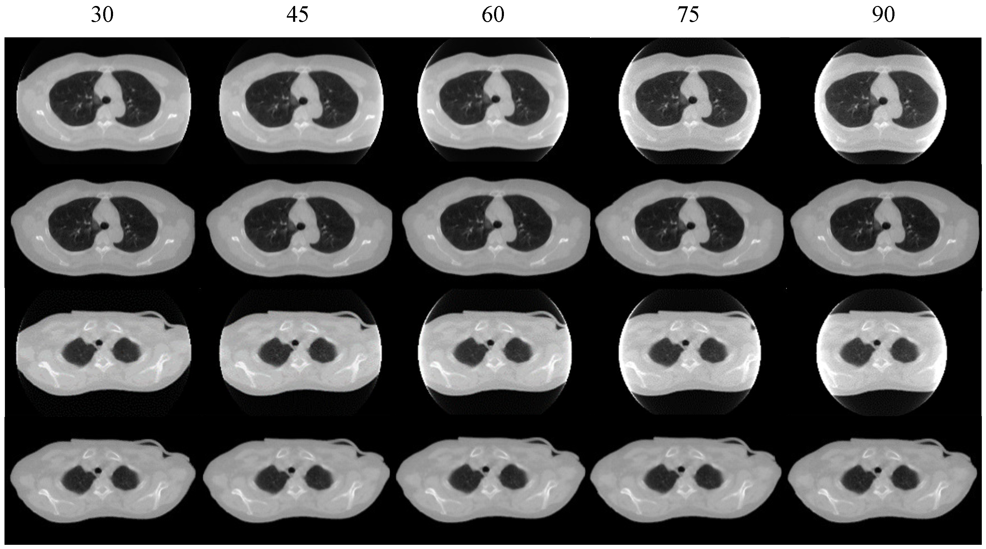 Sensors 25 00039 g012