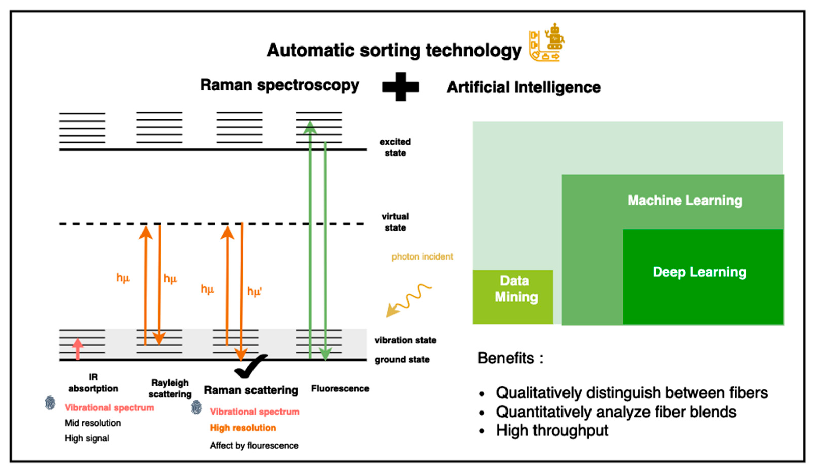 Sensors 25 00057 g006