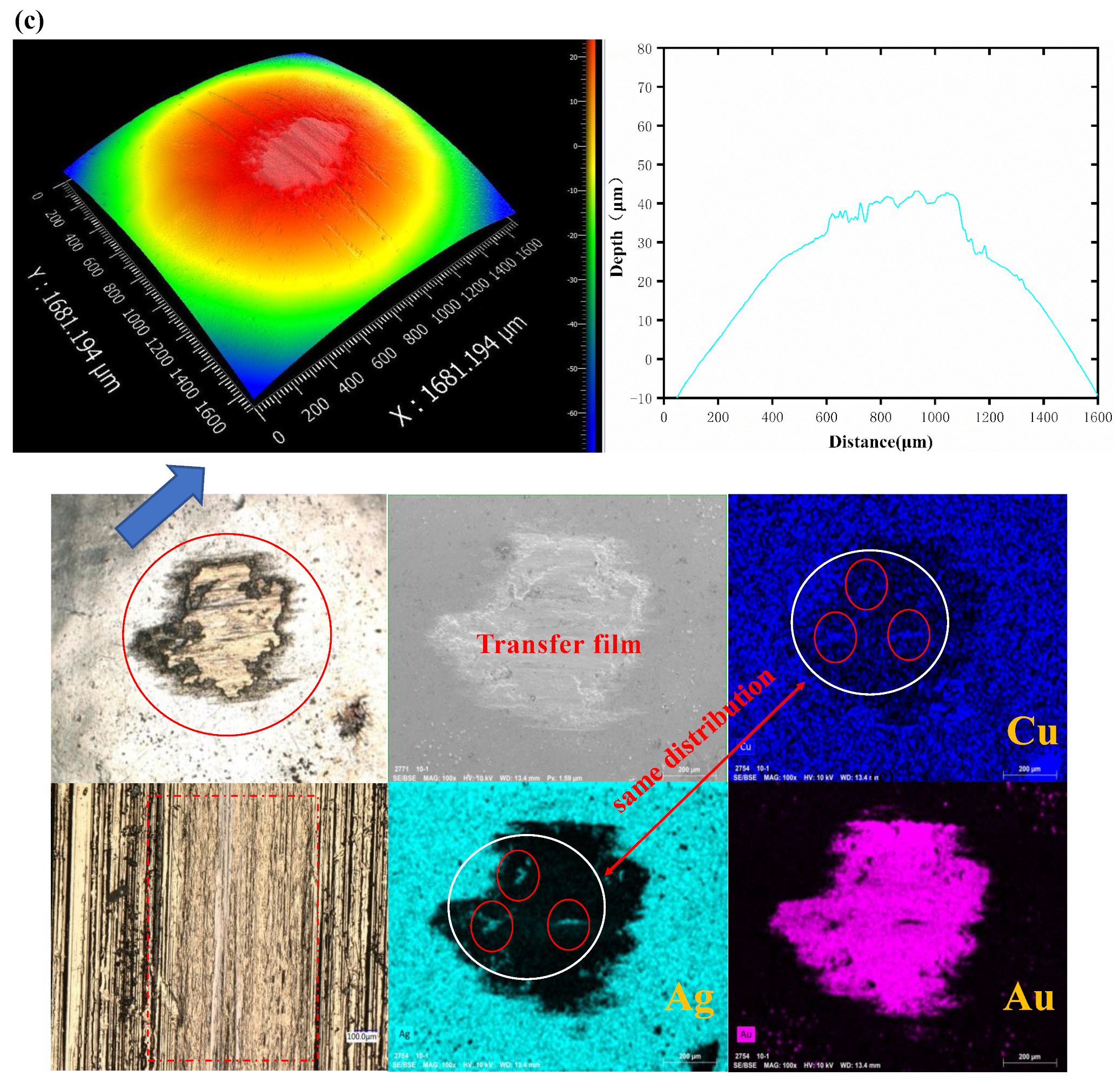 Sensors 25 00107 g002b