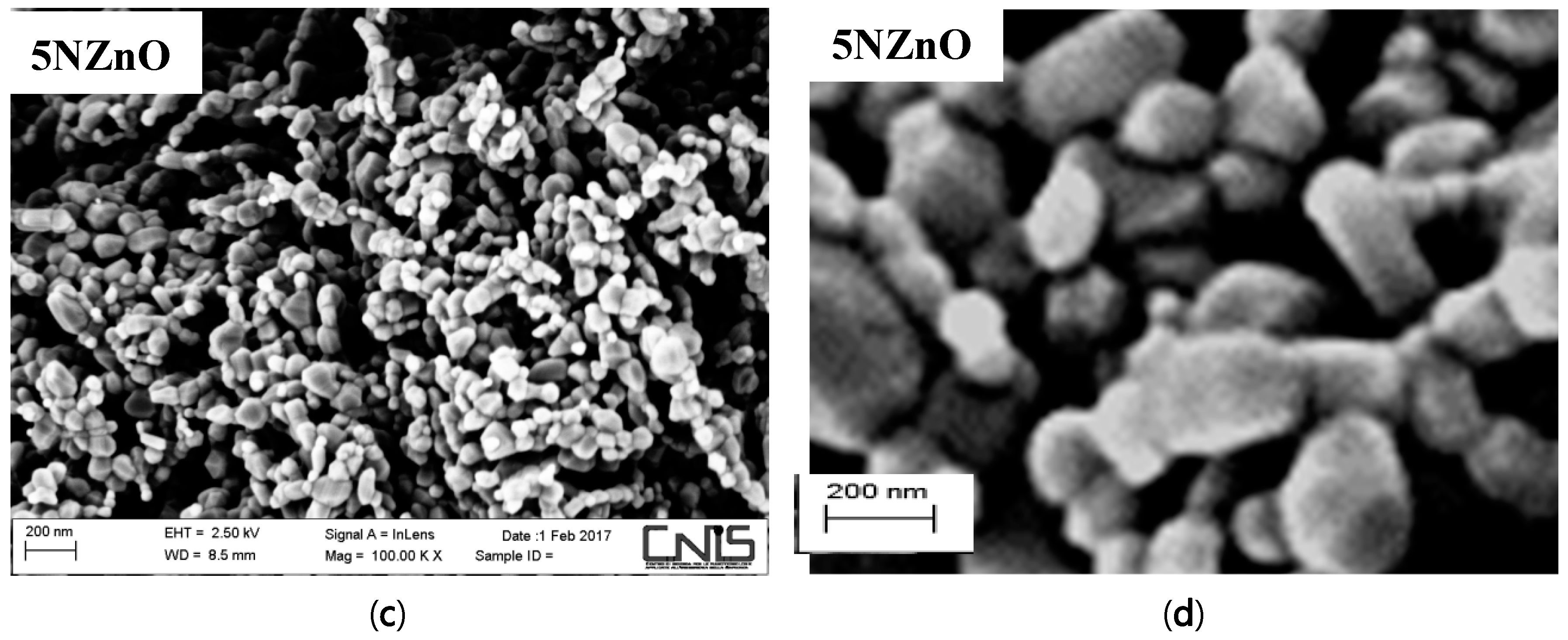 Sensors 25 00114 g005b