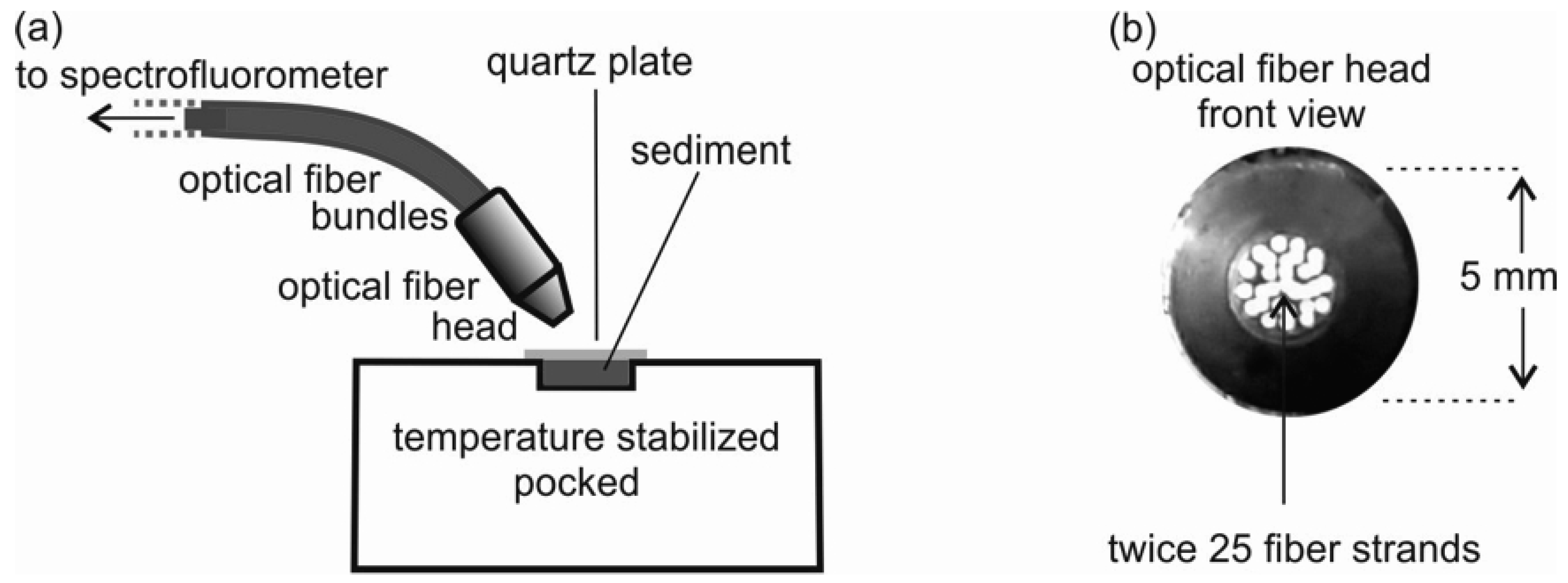 Sensors 25 00173 g001