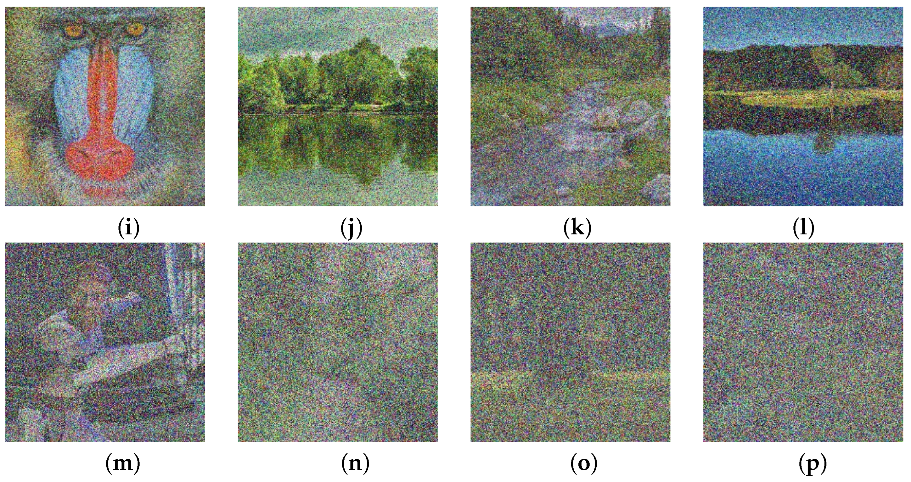 Sensors 25 00210 g002b