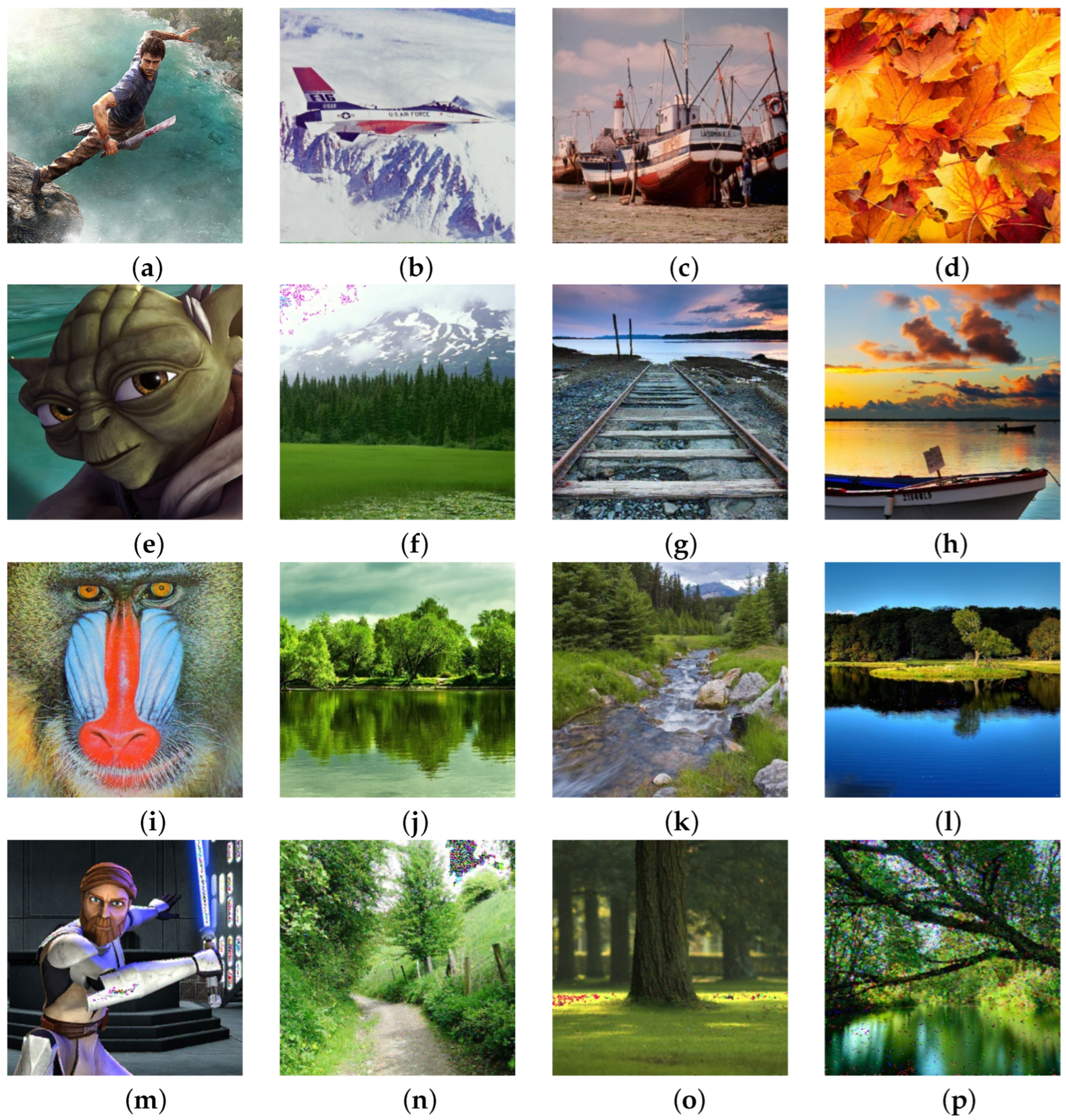 Sensors 25 00210 g011