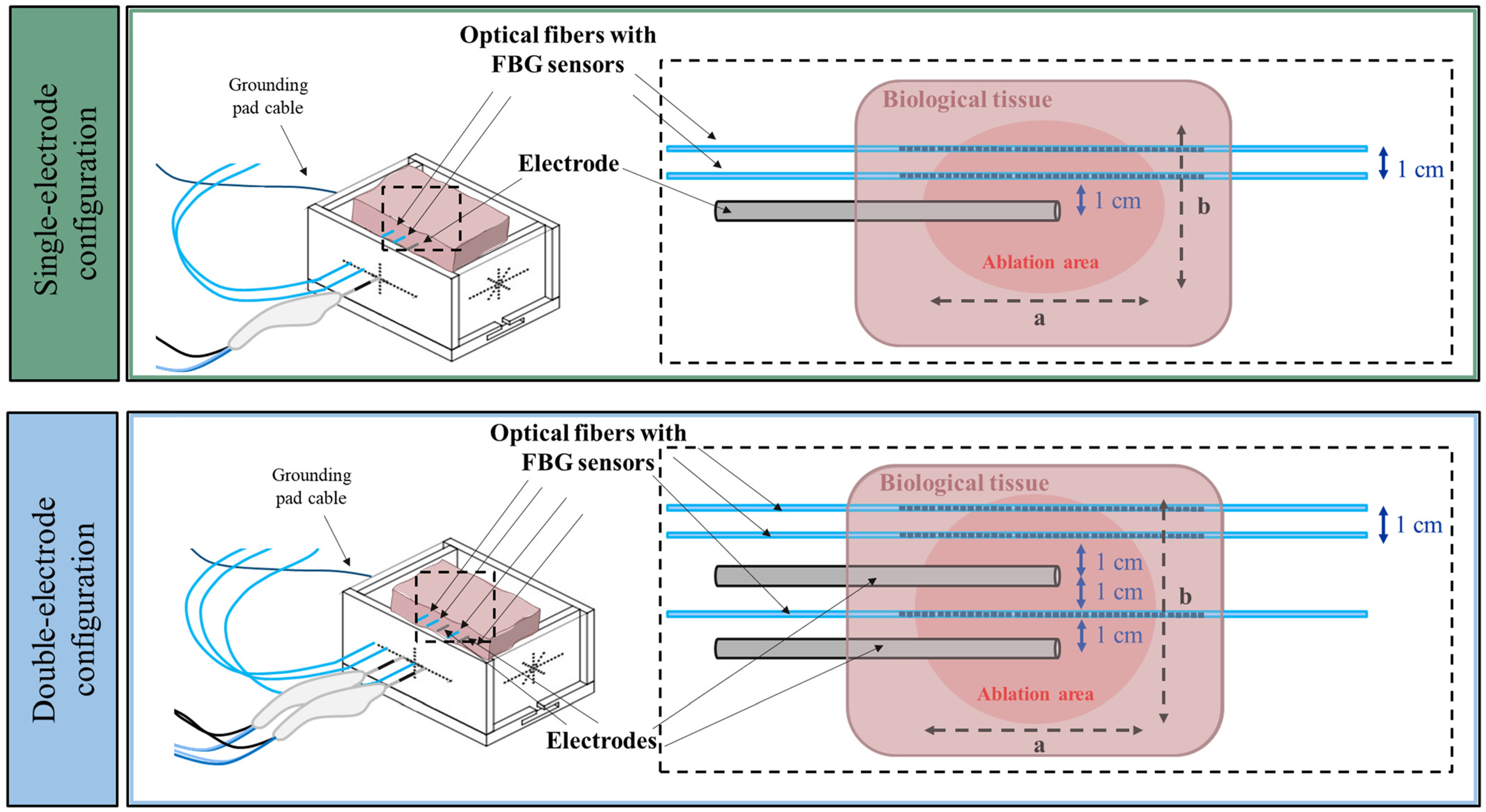 Sensors 25 00245 g002