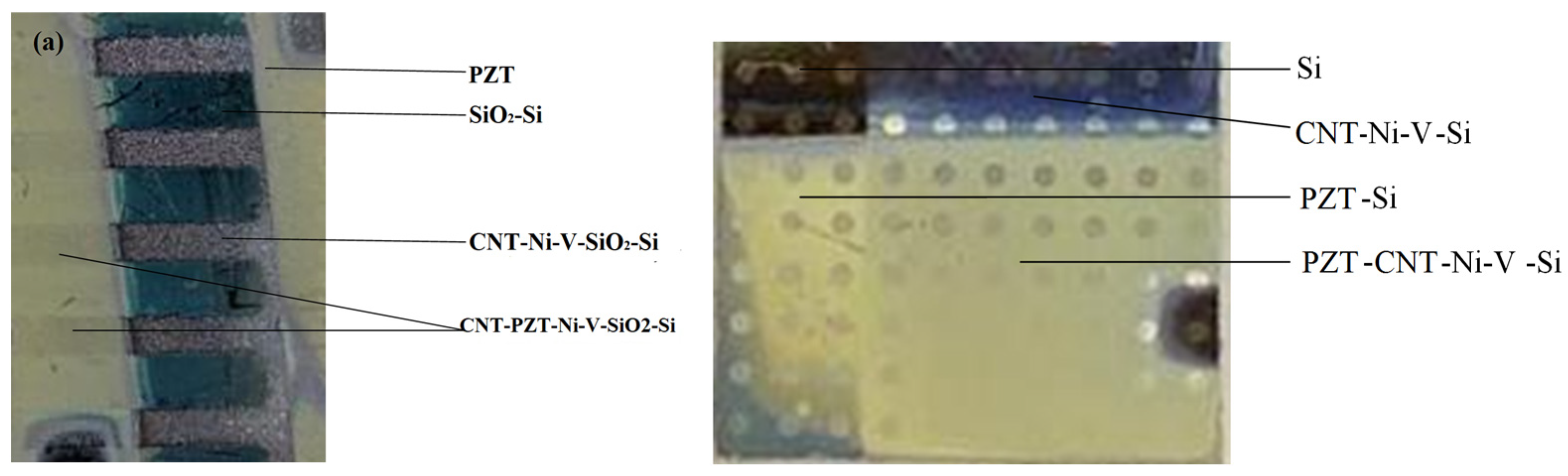 Sensors 25 00401 g004