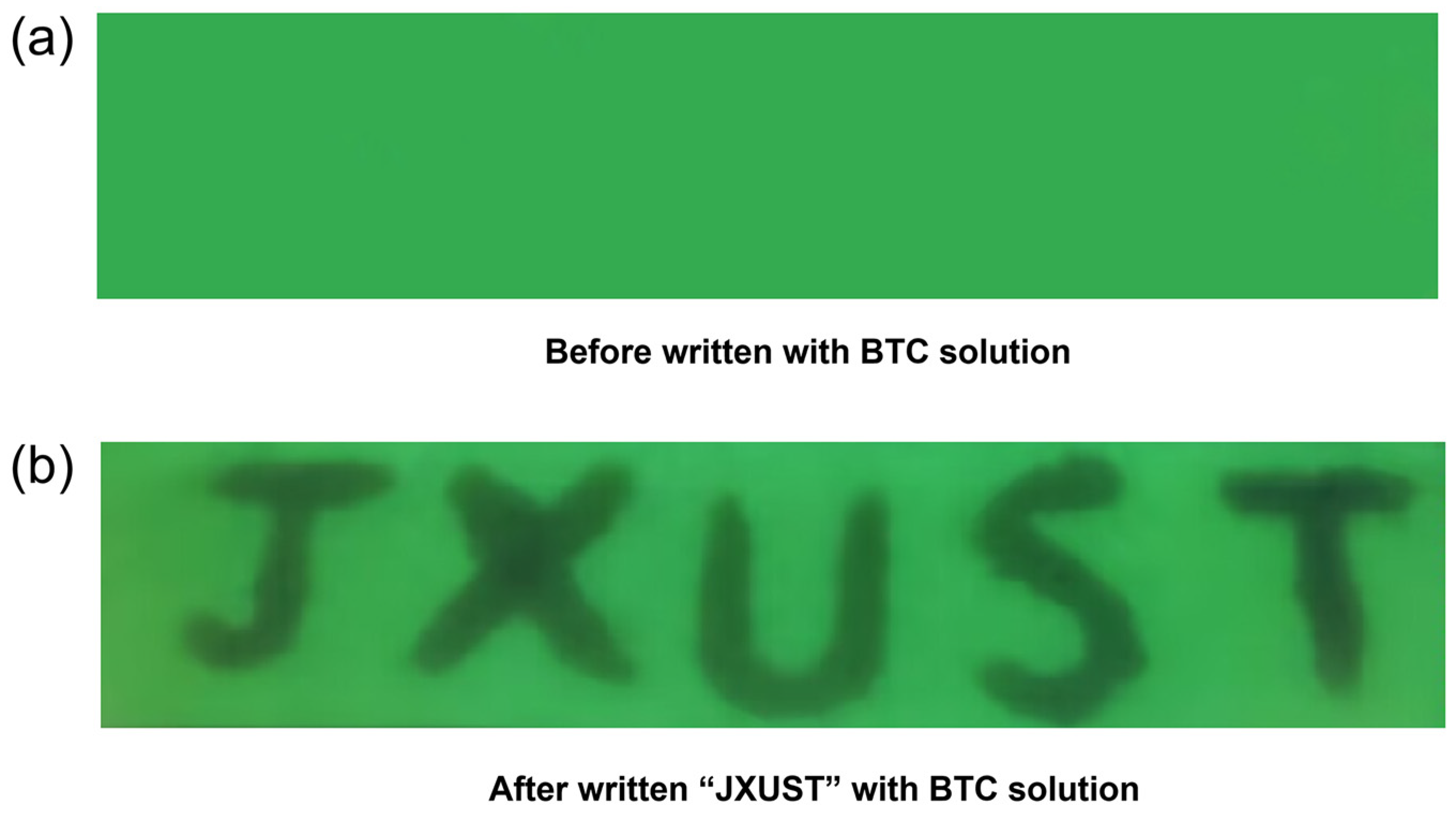 Sensors 25 00407 g005