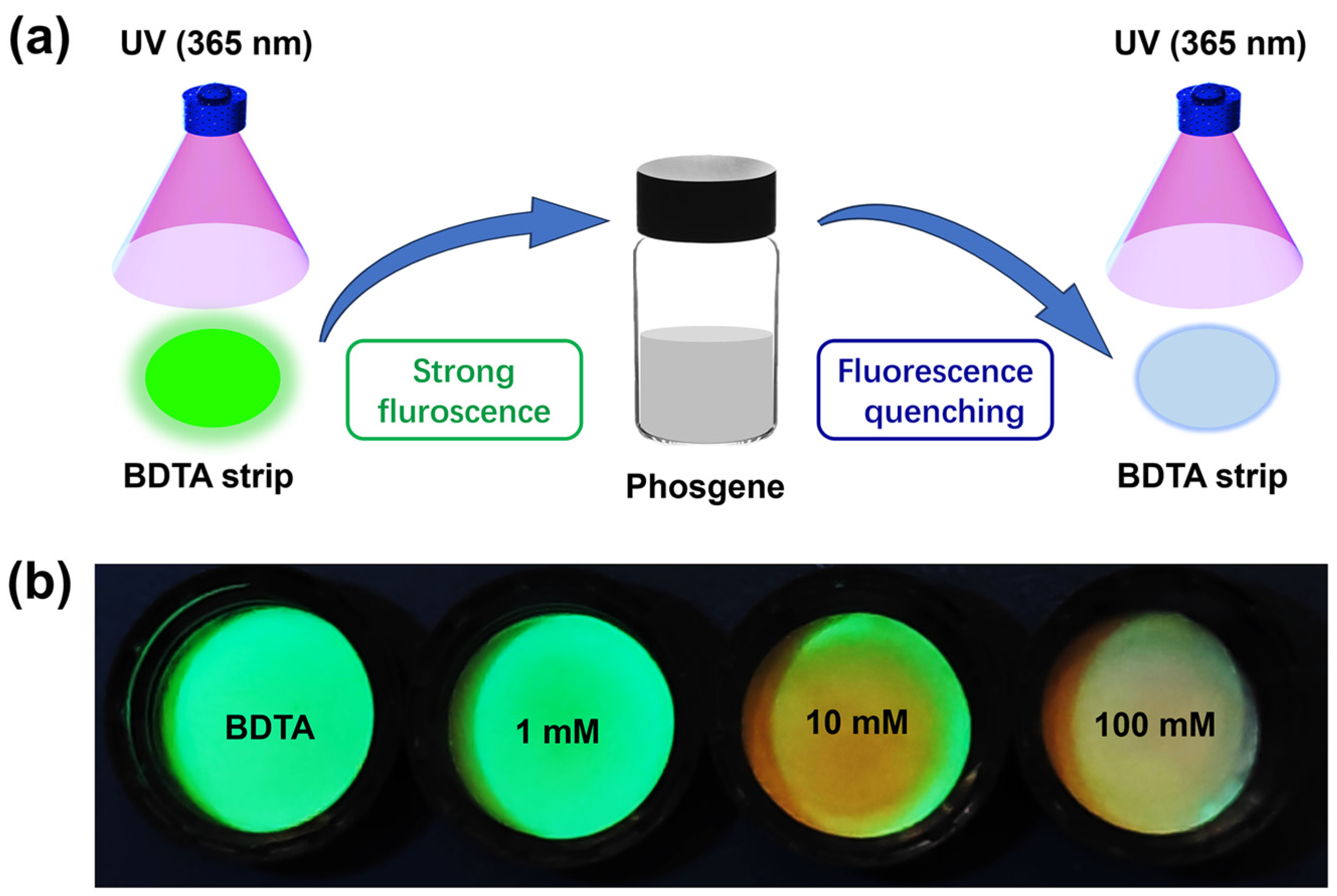 Sensors 25 00407 g006