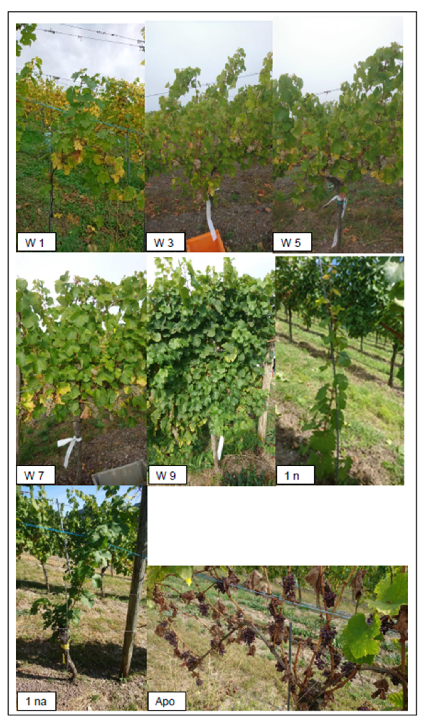 Sensors 25 00431 g003