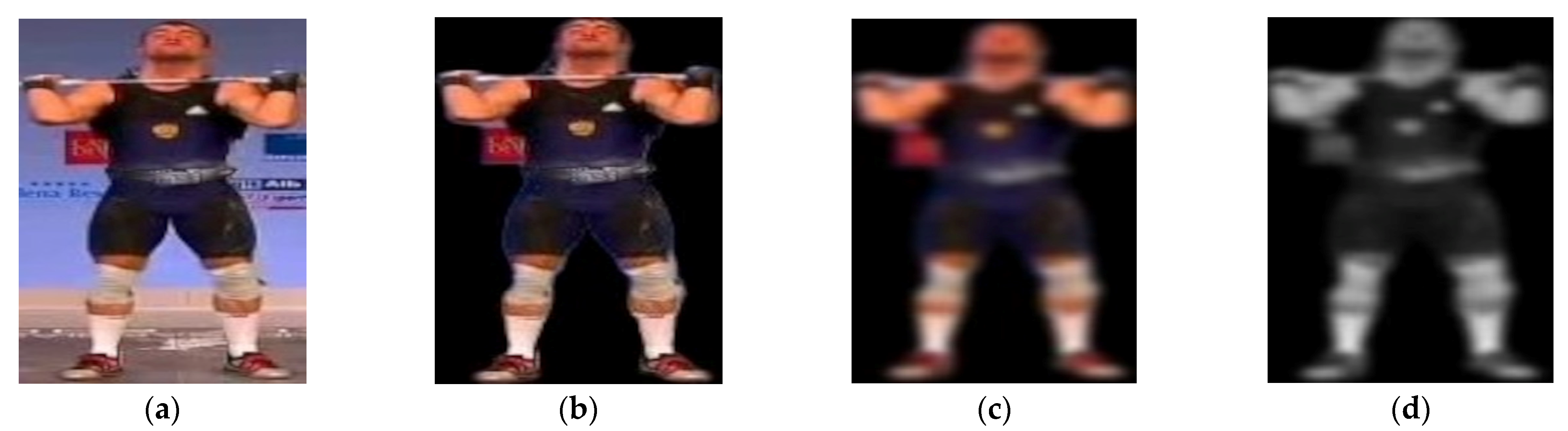 Sensors 25 00441 g002