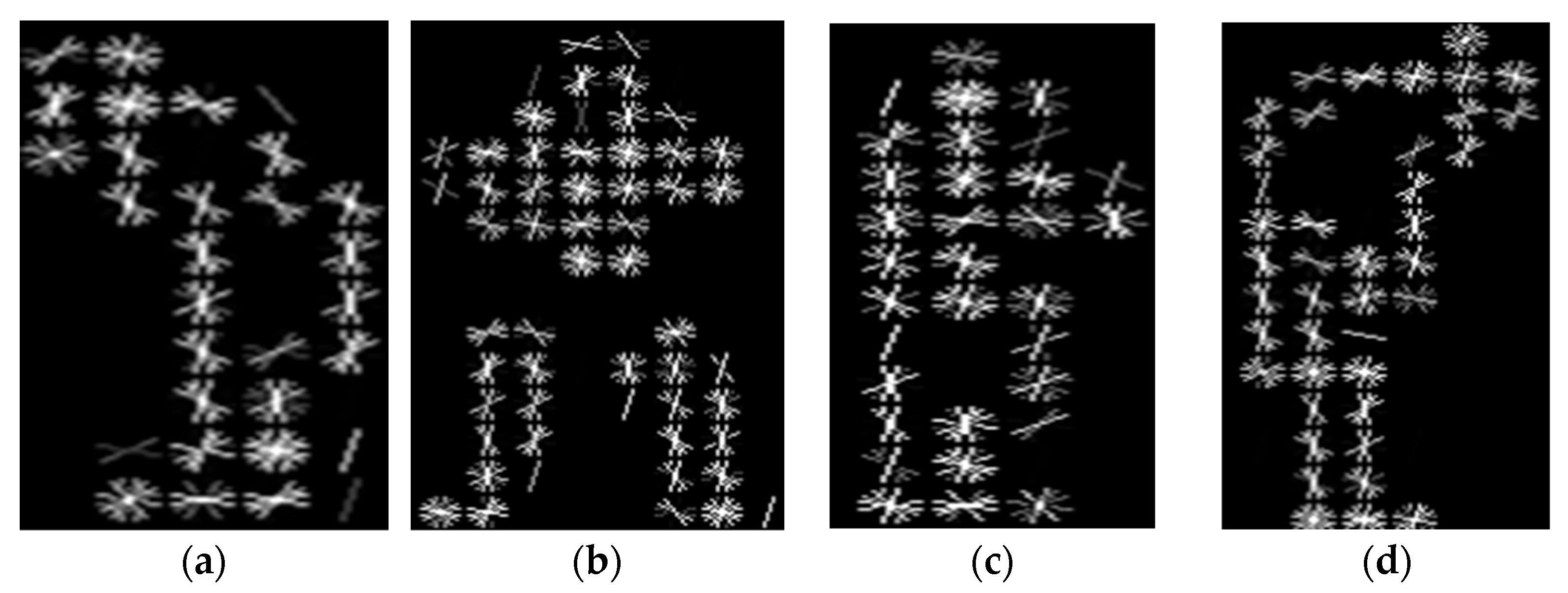 Sensors 25 00441 g010