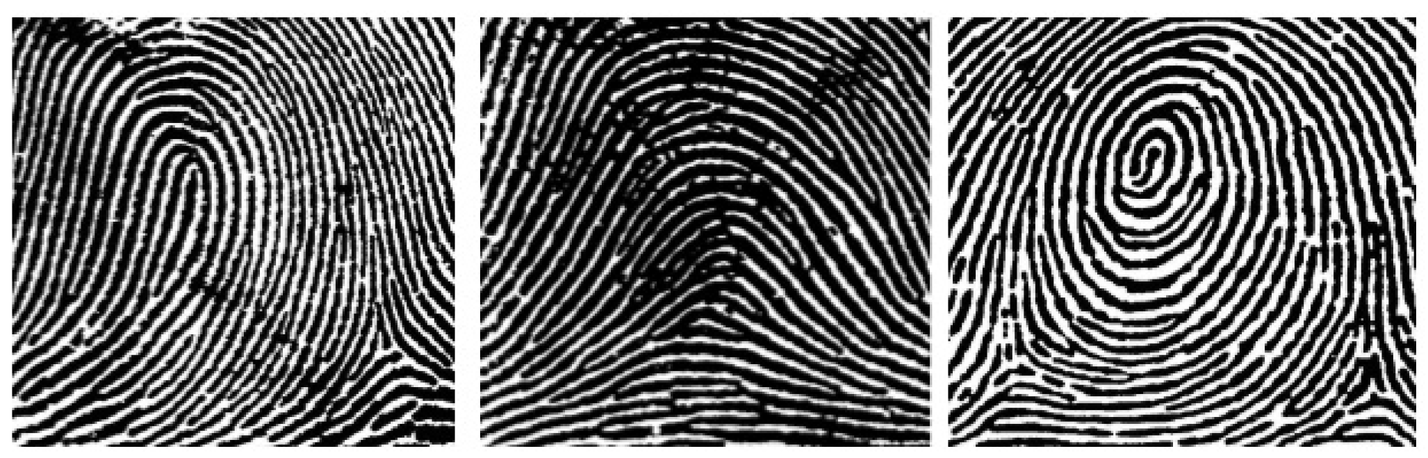 Sensors 25 00455 g006