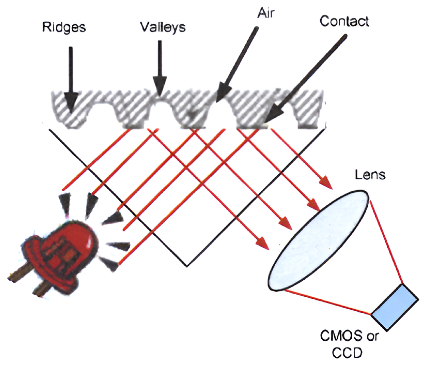 Sensors 25 00455 g007