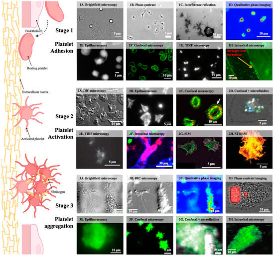 Sensors 25 00491 g001
