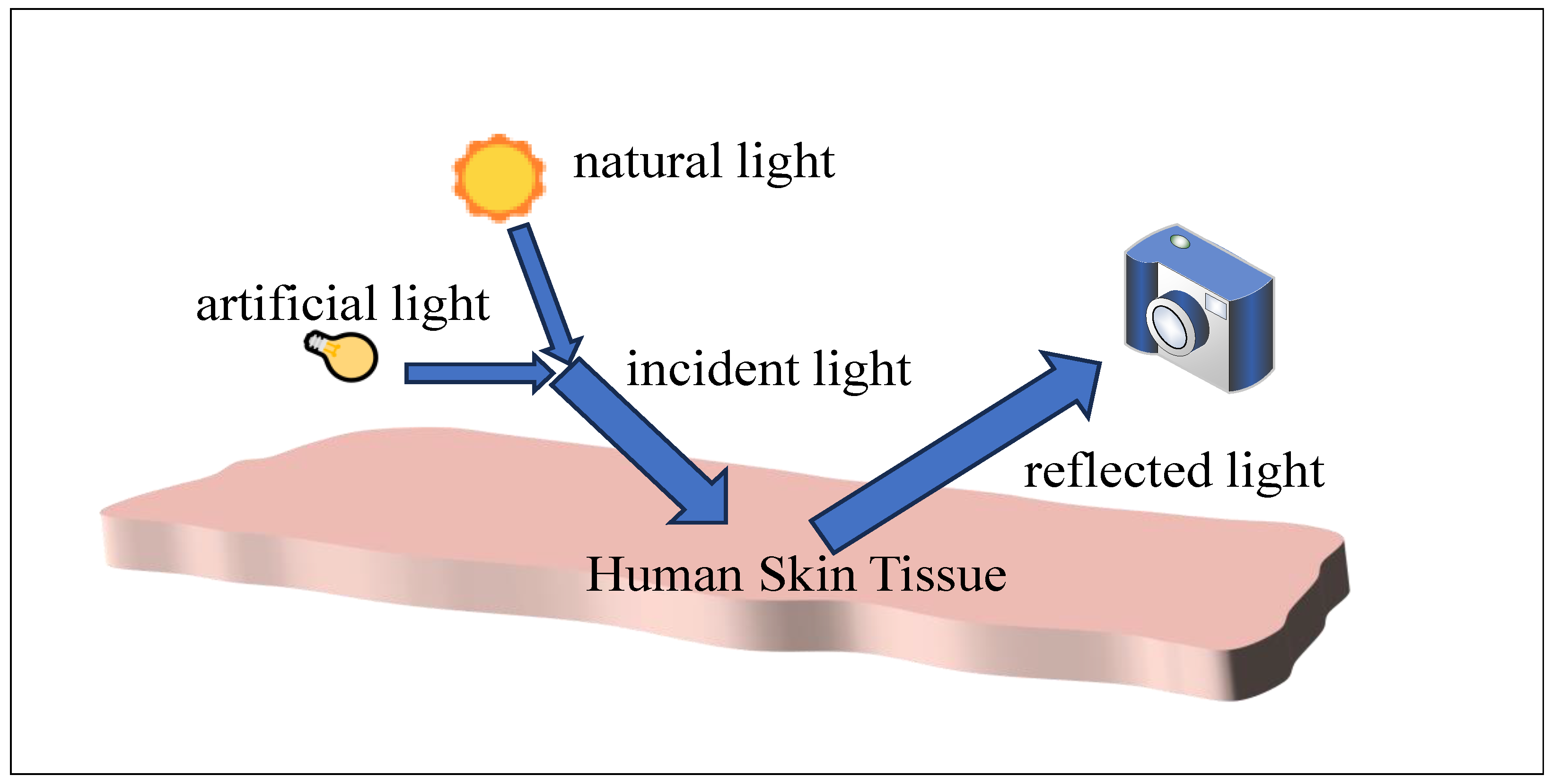 Sensors 25 00501 g001