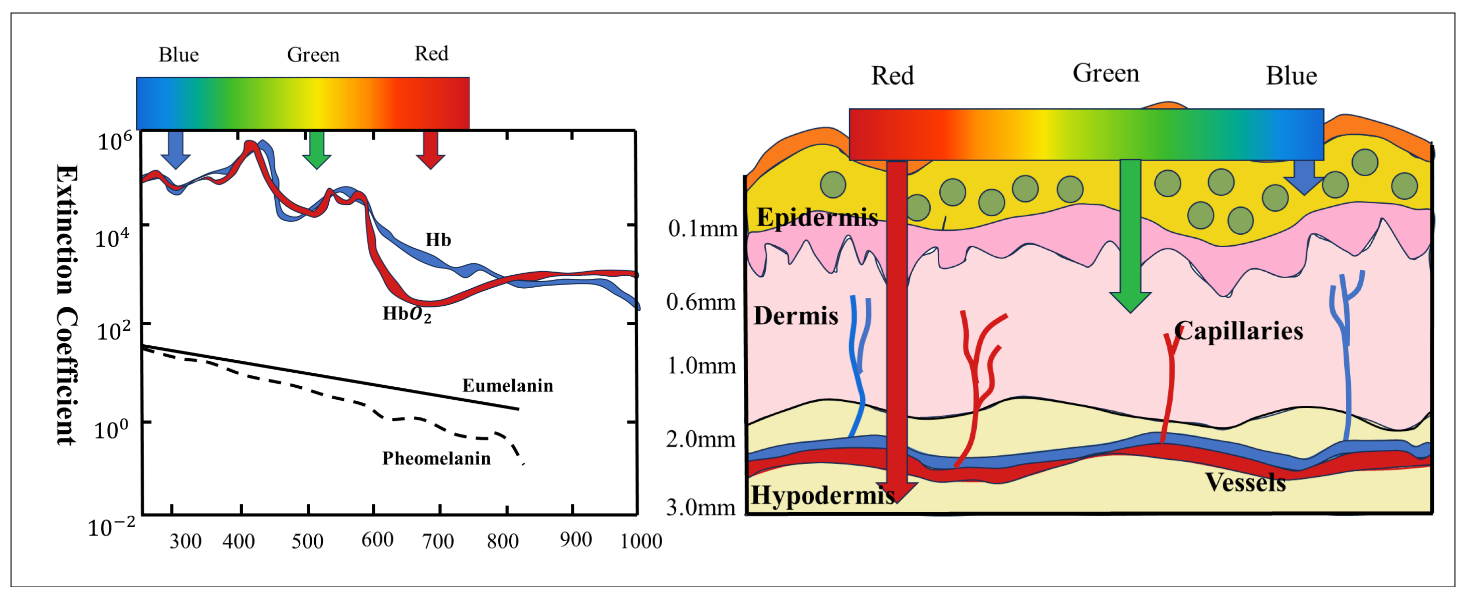 Sensors 25 00501 g002
