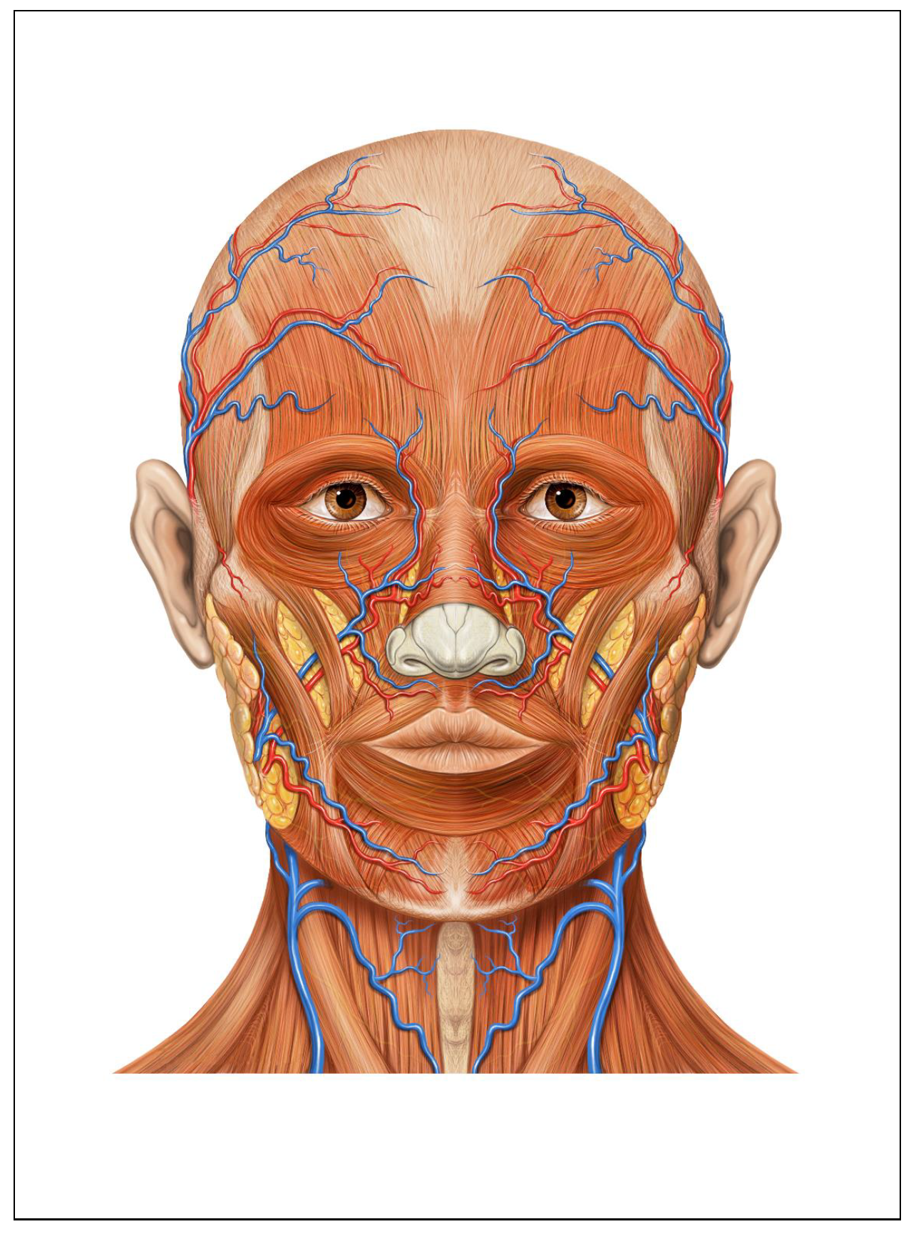 Sensors 25 00501 g004