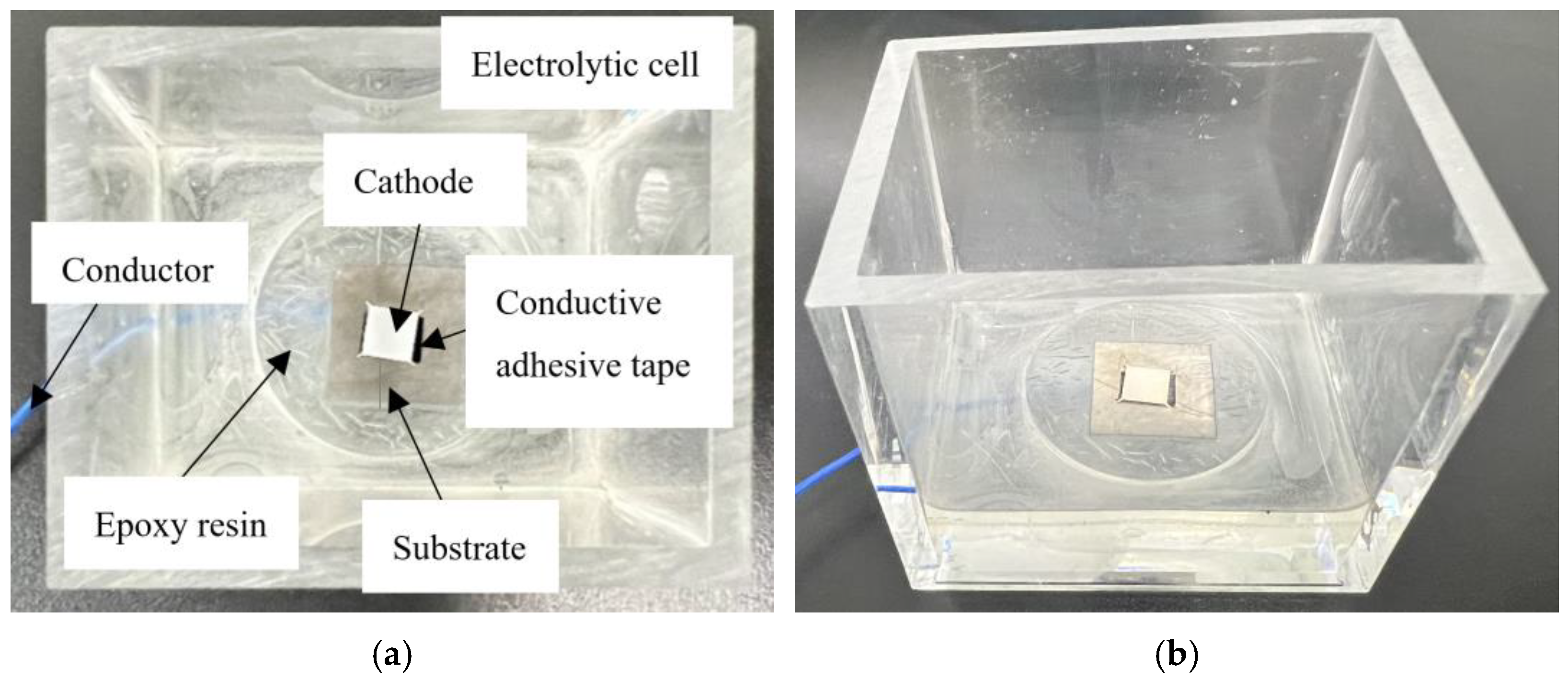 Sensors 25 00521 g003