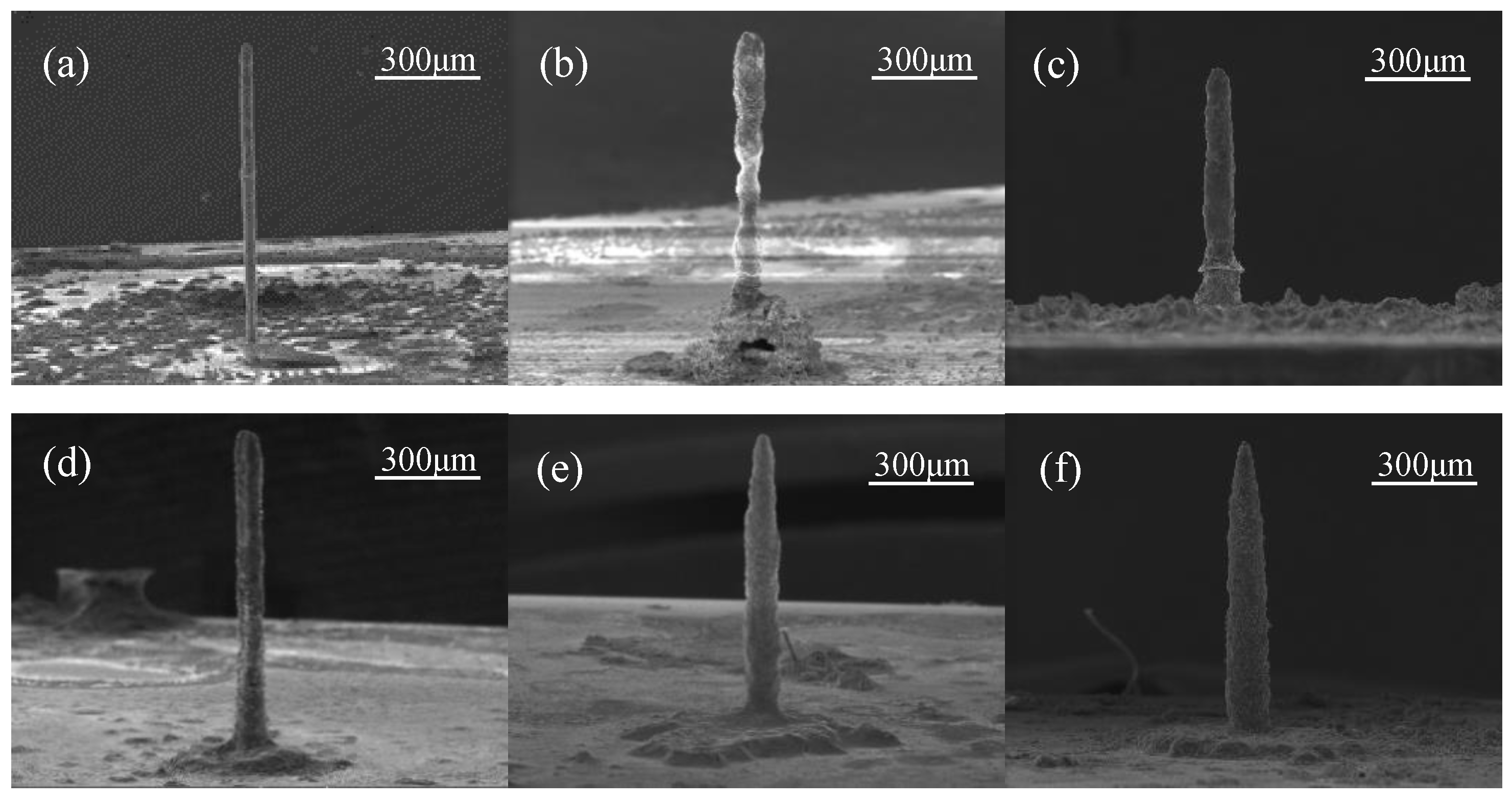 Sensors 25 00521 g004