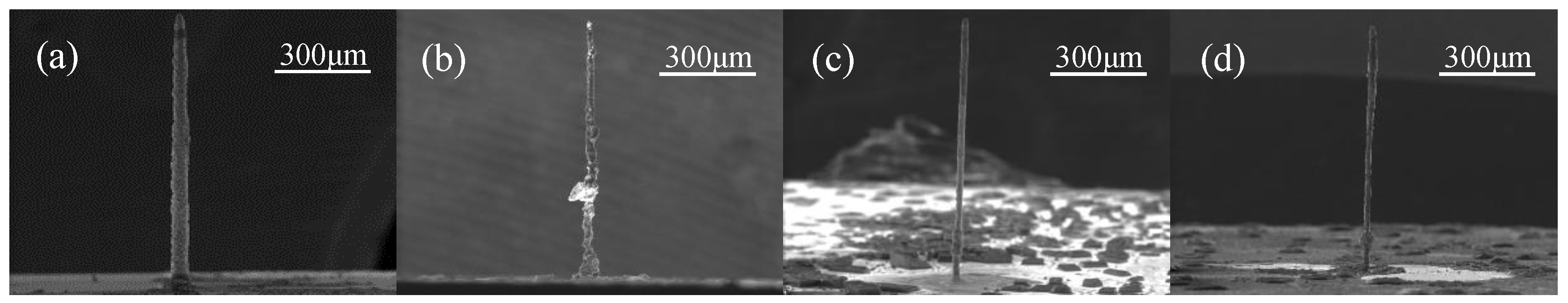 Sensors 25 00521 g005