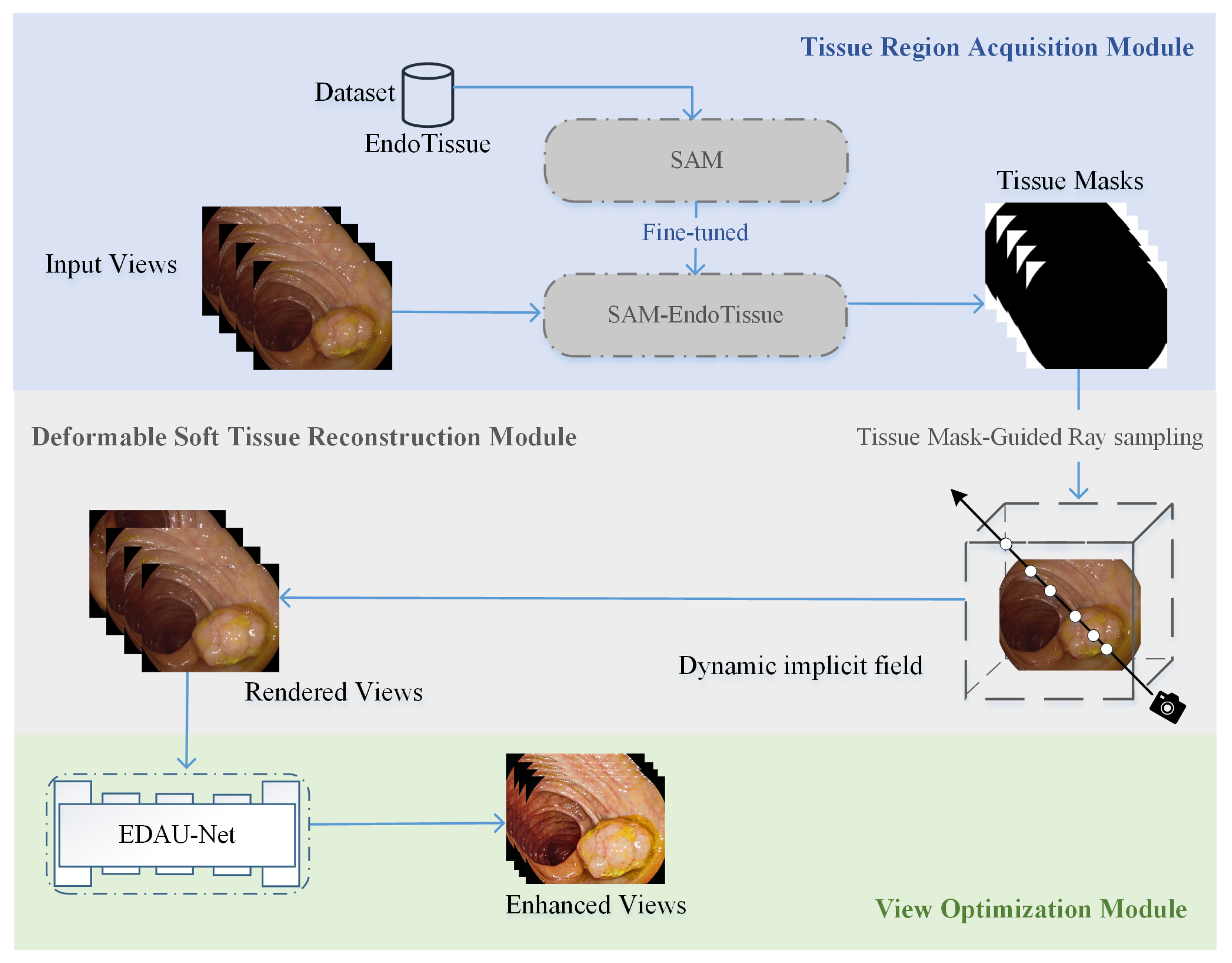 Sensors 25 00565 g002