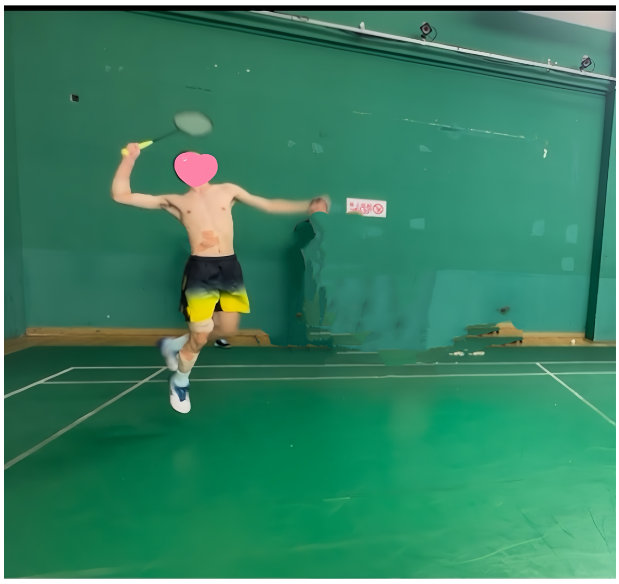 Sensors 25 00577 g003