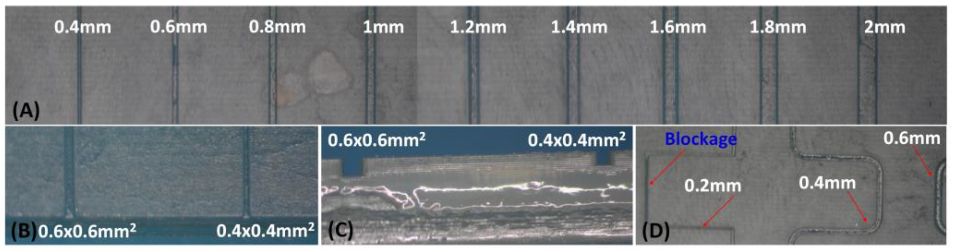 Sensors 25 00694 g008