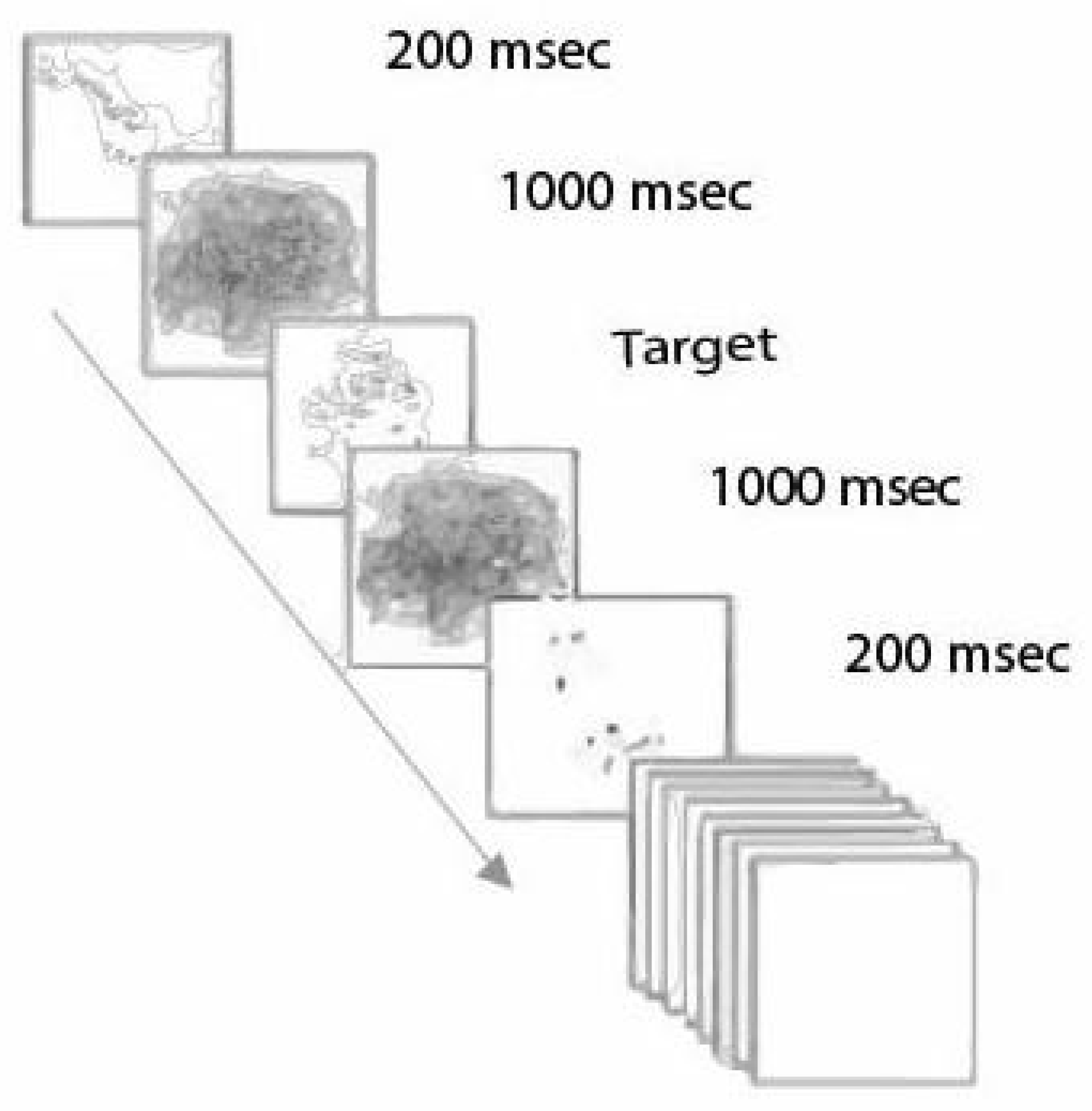 Sensors 25 00700 g009