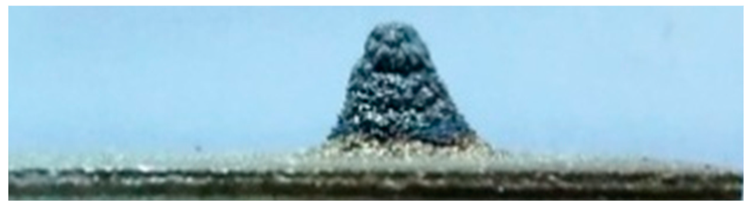 Sensors 25 00708 g003