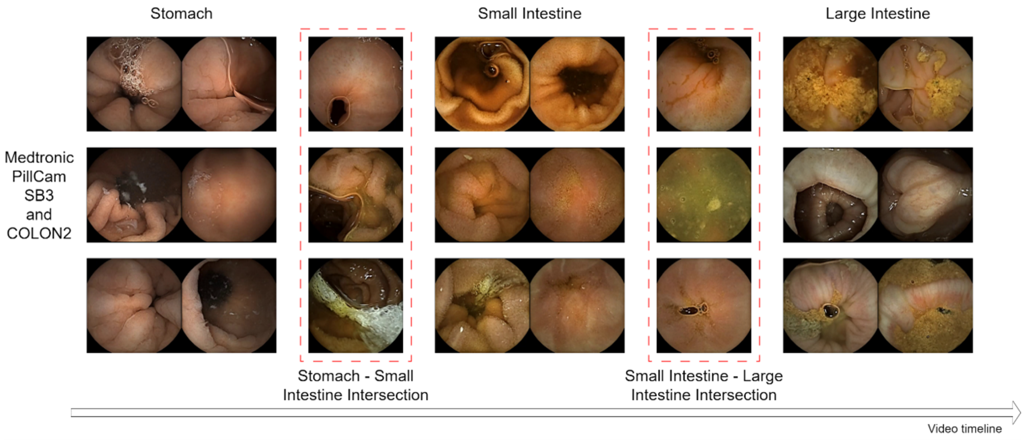Sensors 25 00746 g001