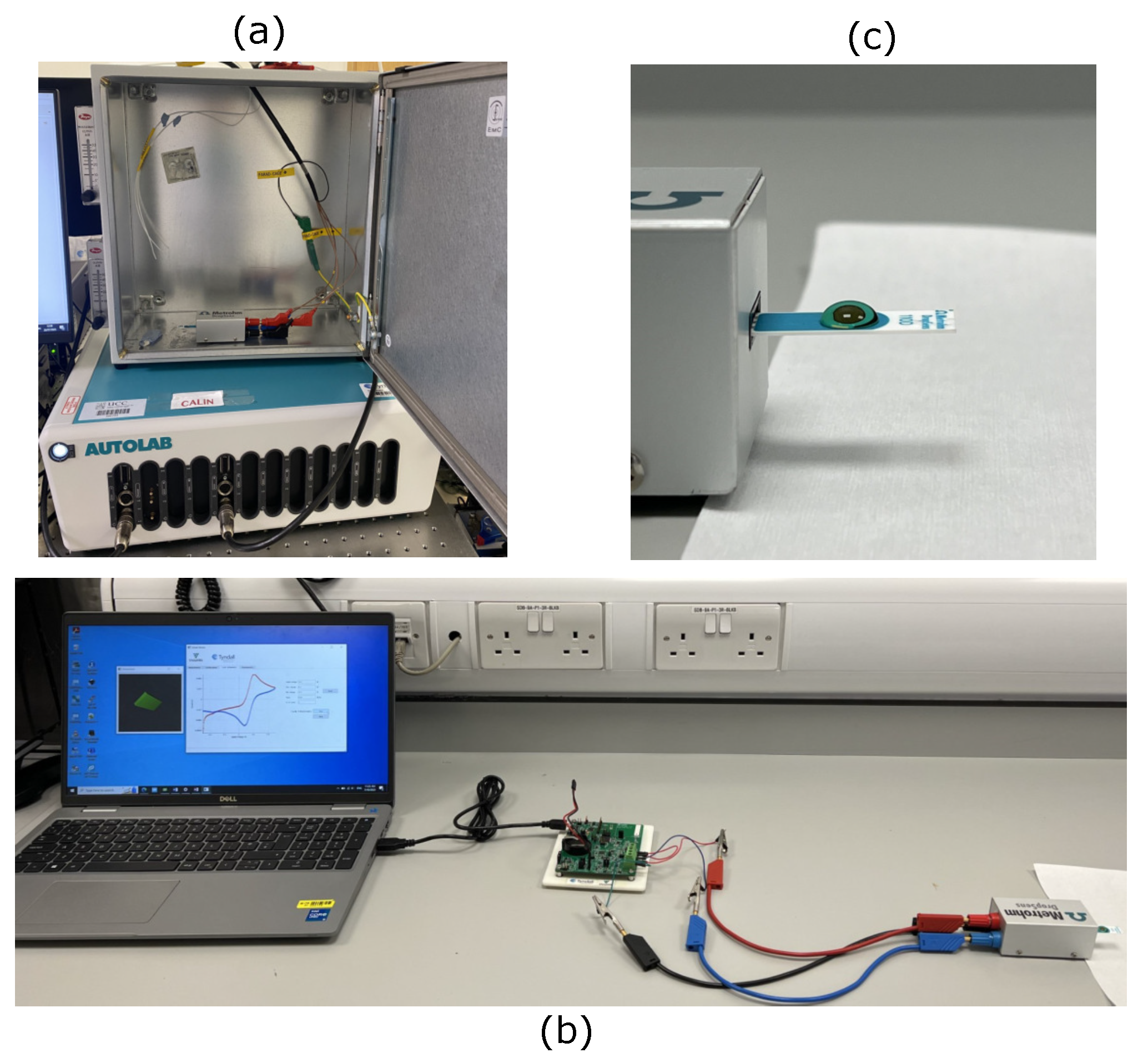 Sensors 25 00762 g004