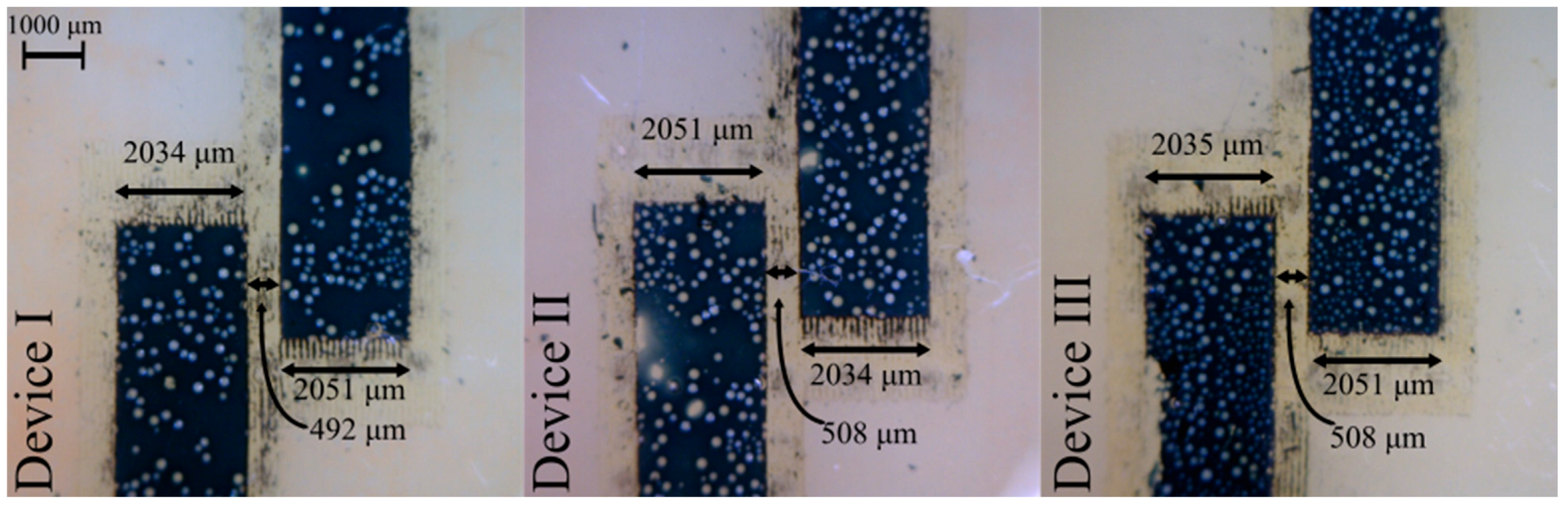 Sensors 25 00775 g007