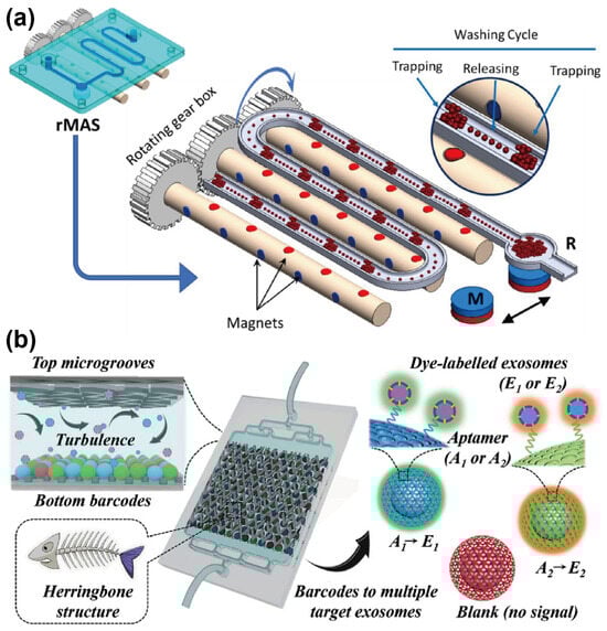 Sensors 25 00848 g001
