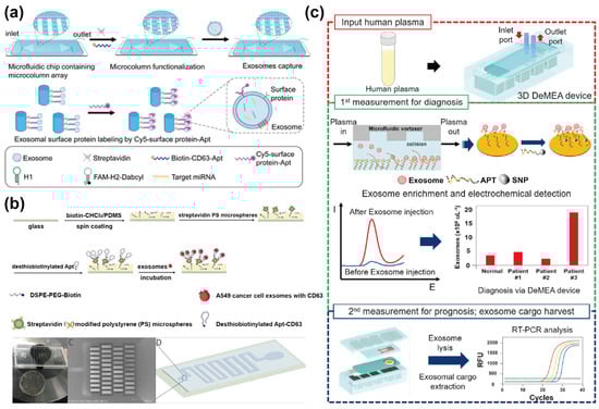 Sensors 25 00848 g002