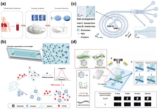 Sensors 25 00848 g006