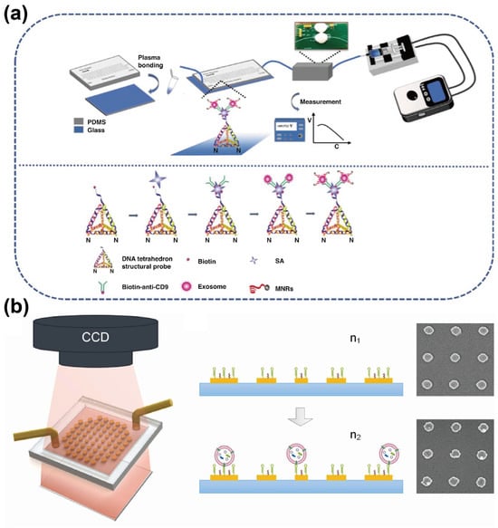 Sensors 25 00848 g009
