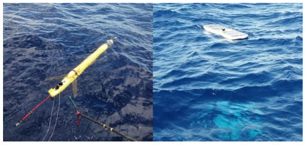 Sensors 25 00849 g013