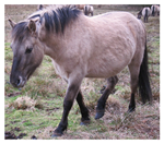 Sensors 25 00859 i002 Sensors 25 00859 i002