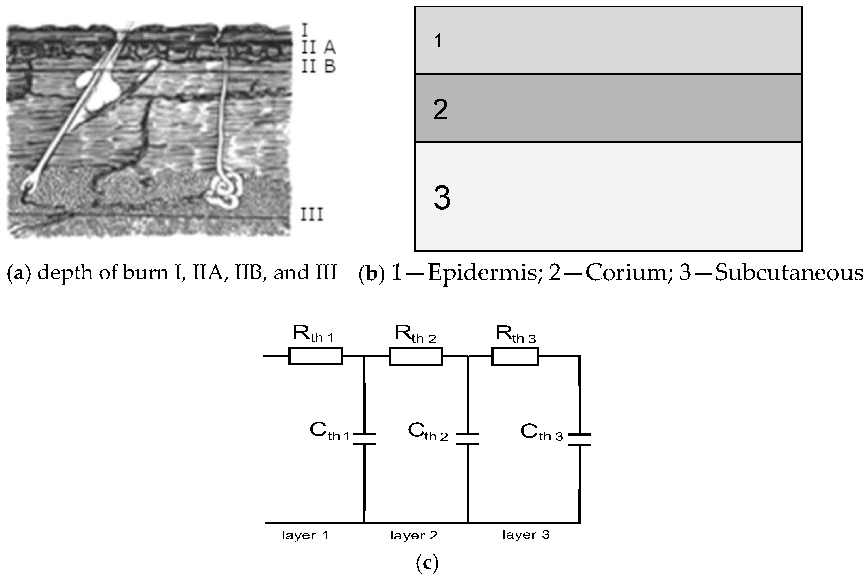Sensors 25 00891 g001 Sensors 25 00891 g001
