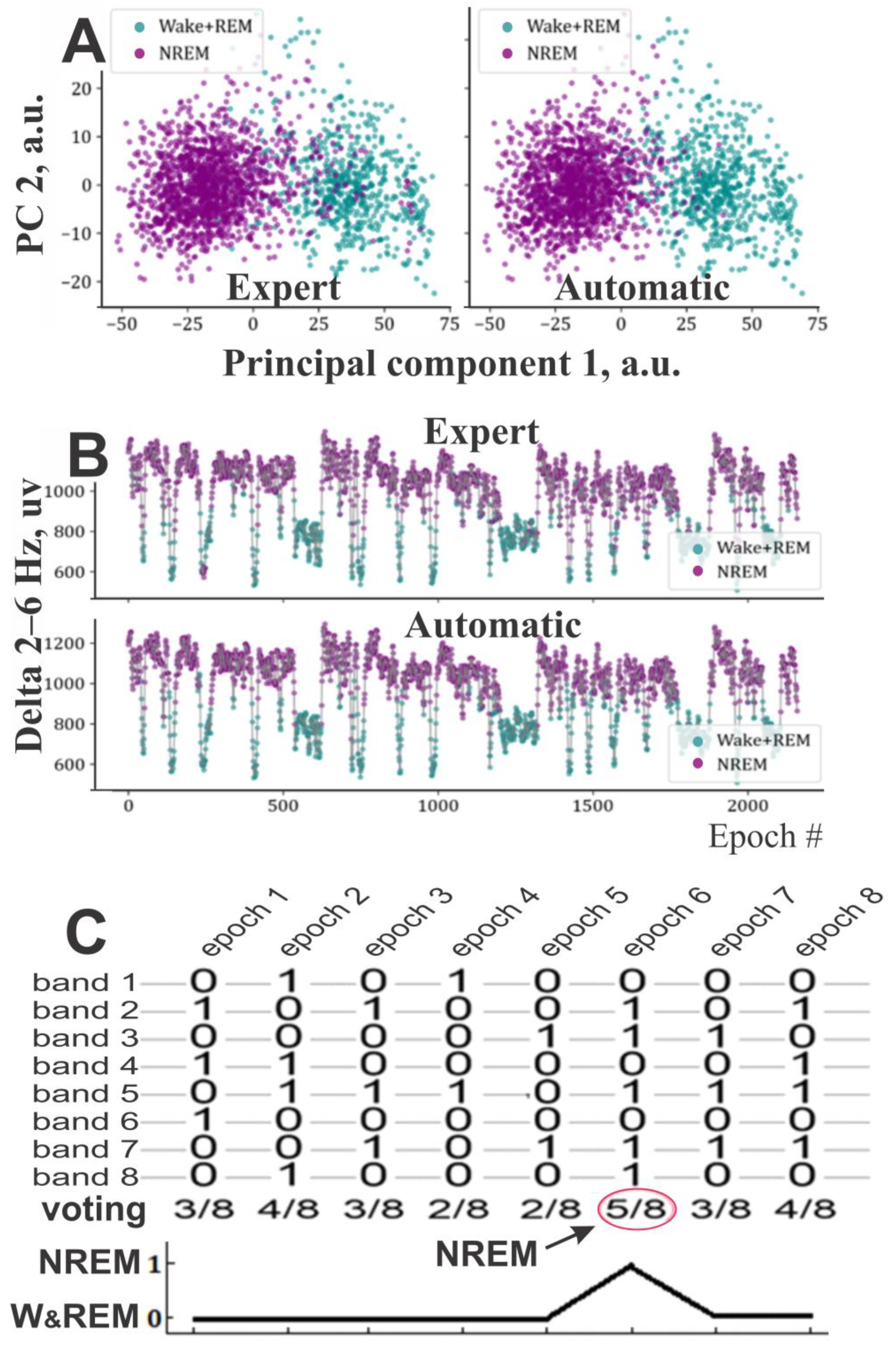 Sensors 25 00921 g003