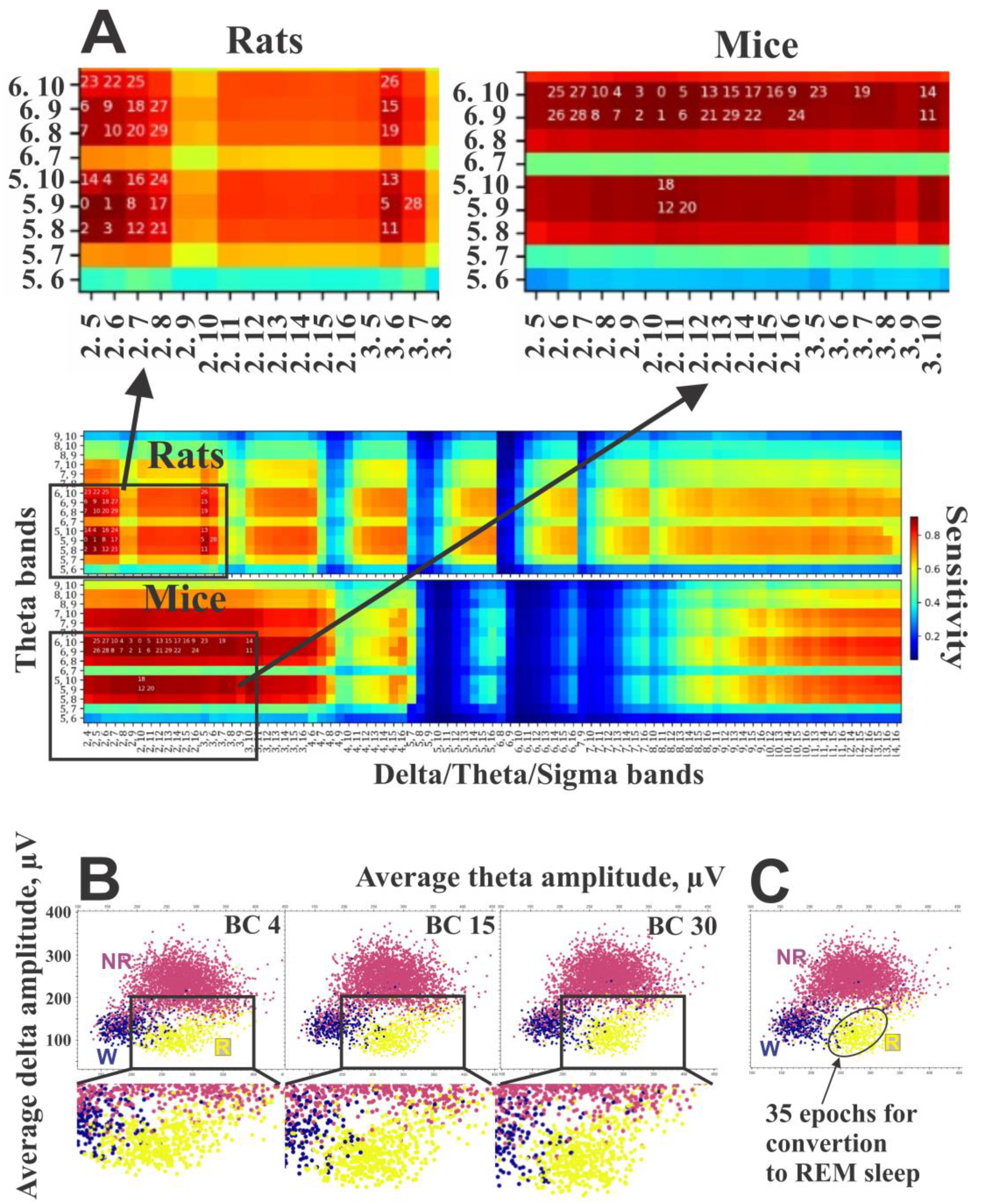 Sensors 25 00921 g006