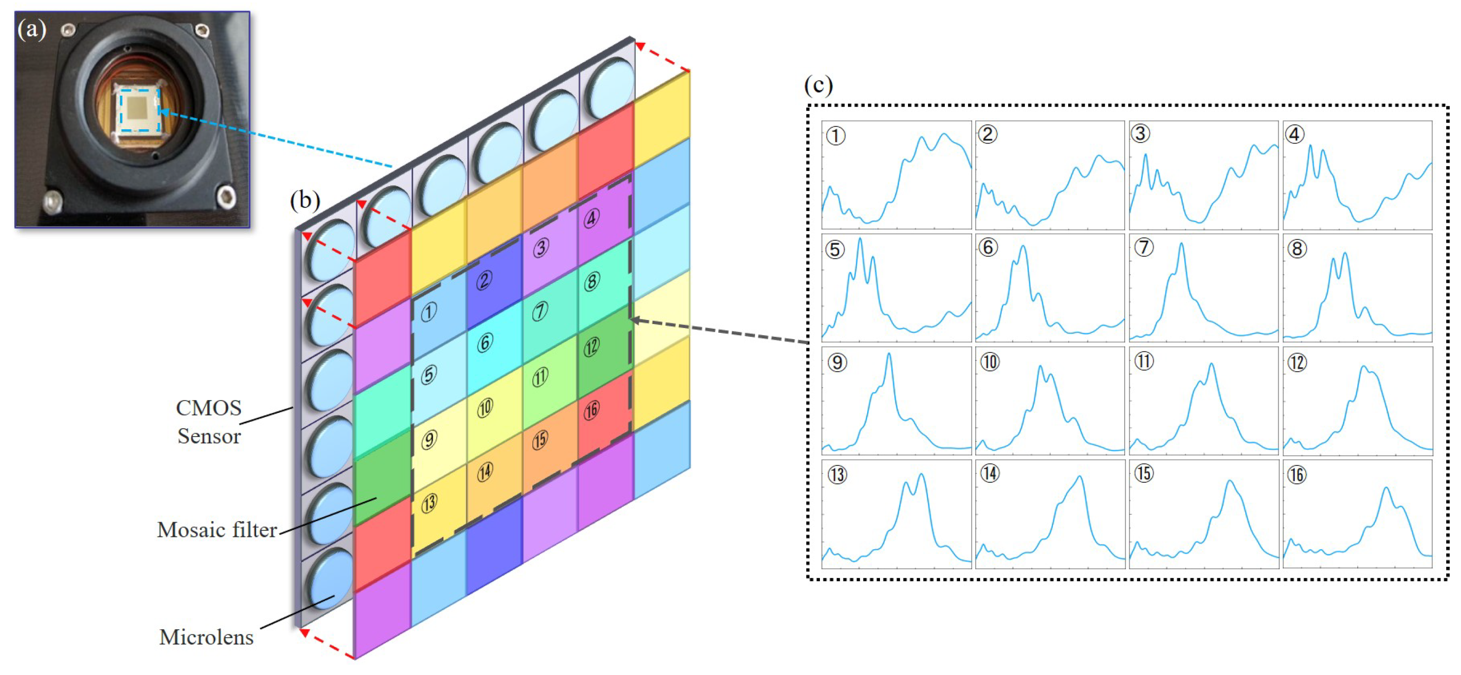 Sensors 25 00952 g001