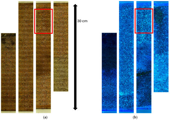 Sensors 25 00968 g007