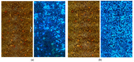 Sensors 25 00968 g008