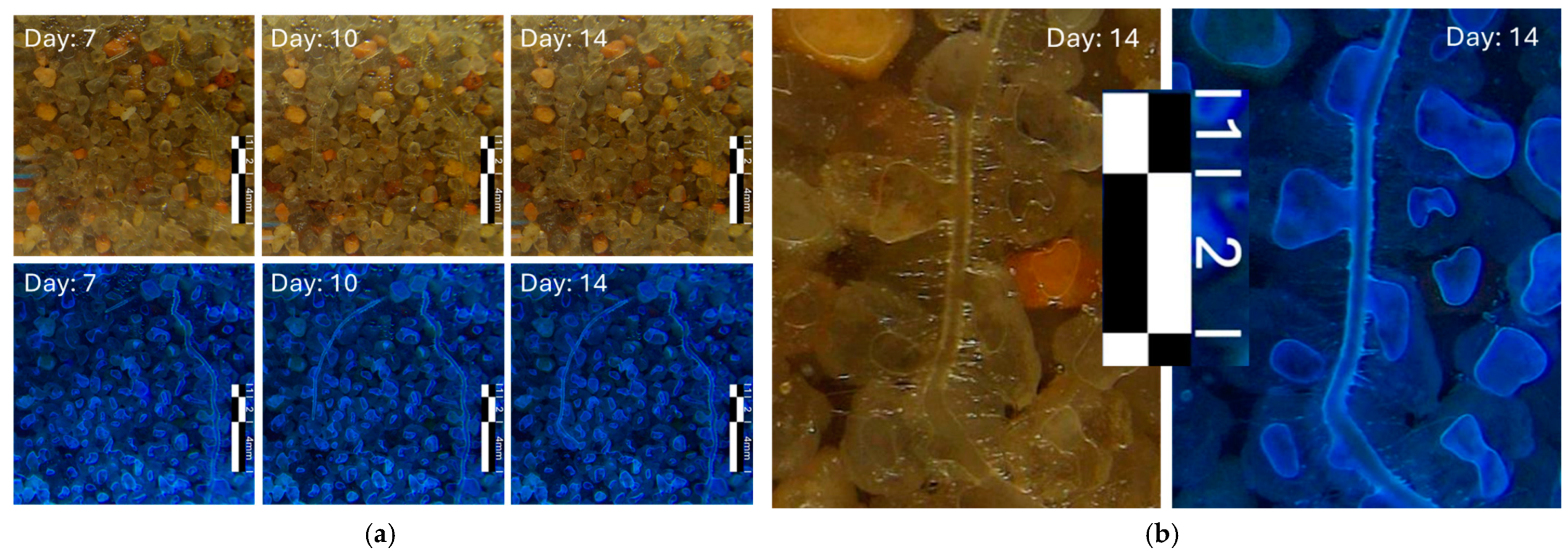 Sensors 25 00968 g009
