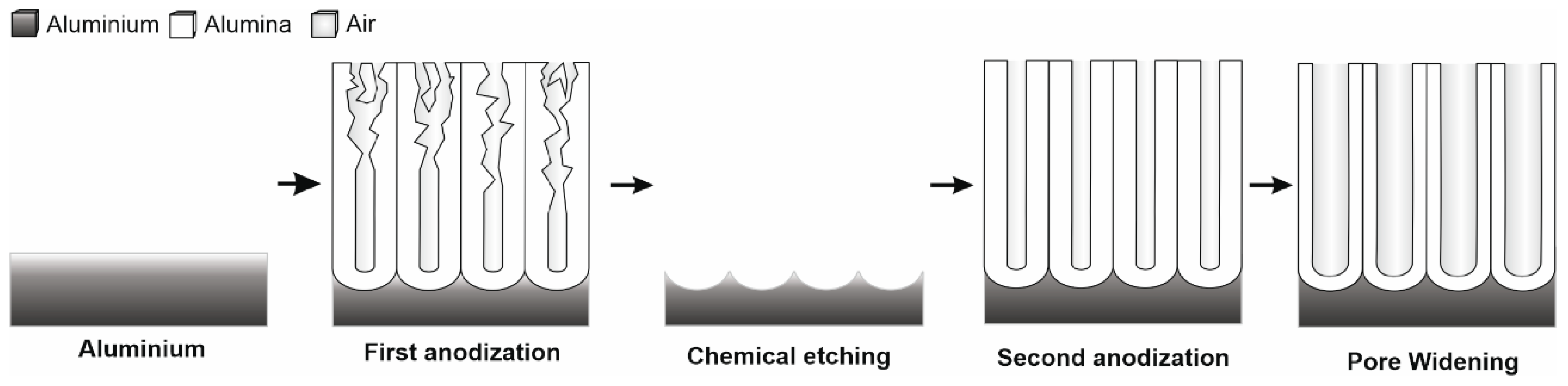 Sensors 25 01021 g001