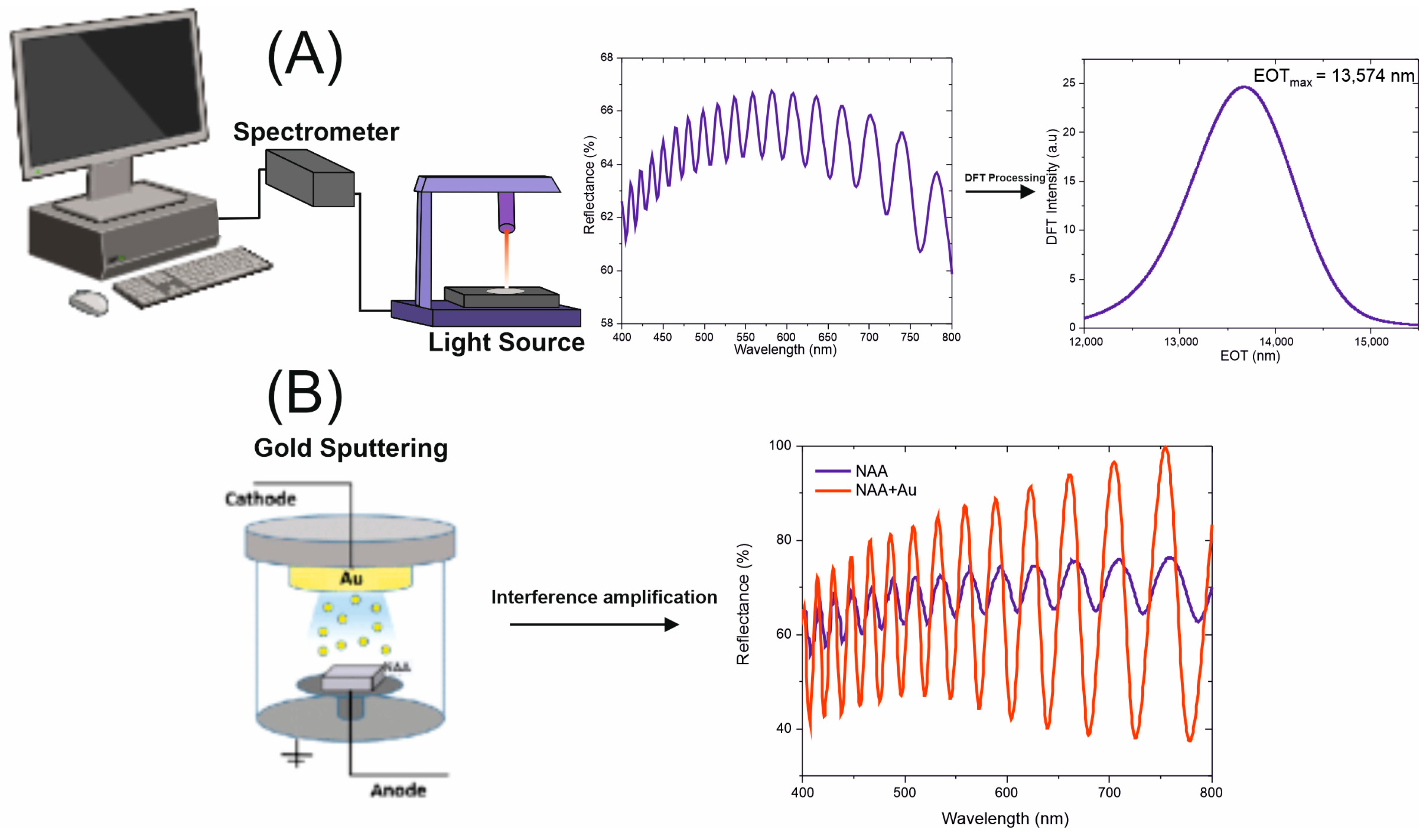 Sensors 25 01021 g003